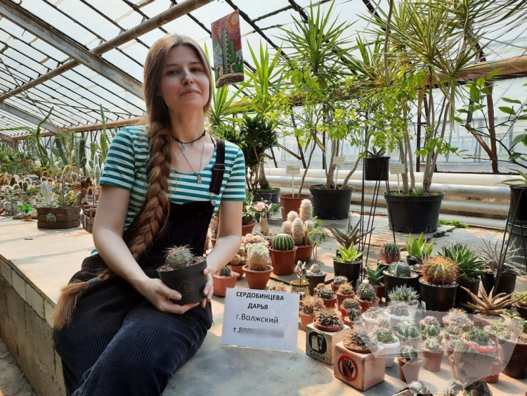 Колючее чудо: в Волжском открылась выставка кактусов и суккулентов
