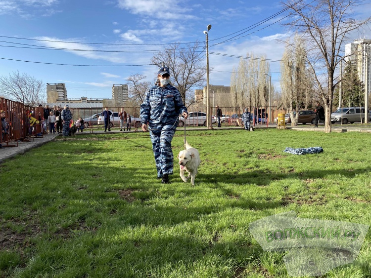 В Волжском прошёл фестиваль воздушных змеев