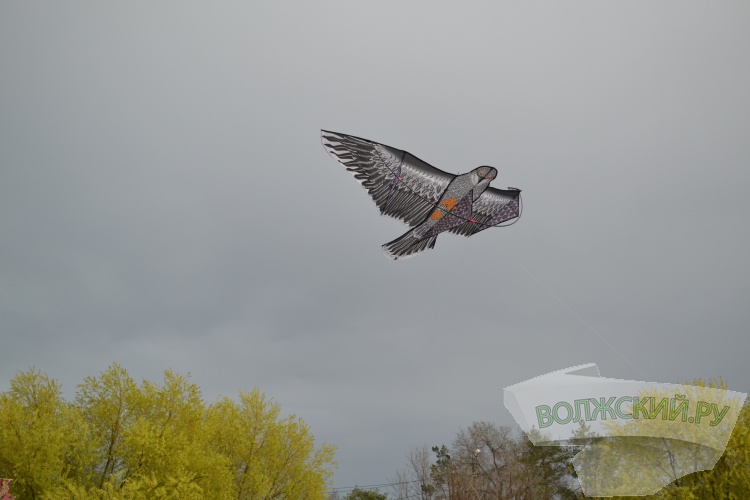 В Волжском прошёл фестиваль воздушных змеев