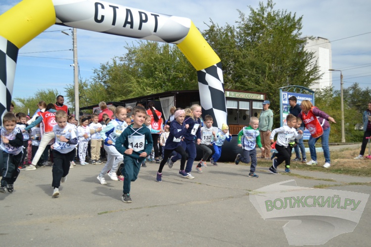 В Волжском традиционный «Кросс наций» получил новую прописку