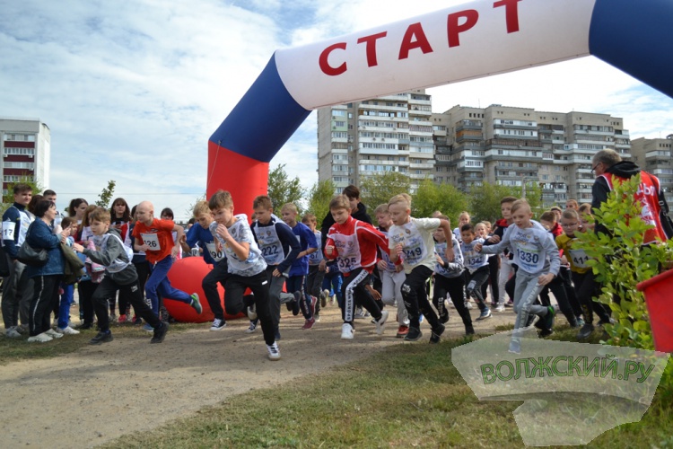 В Волжском традиционный «Кросс наций» получил новую прописку