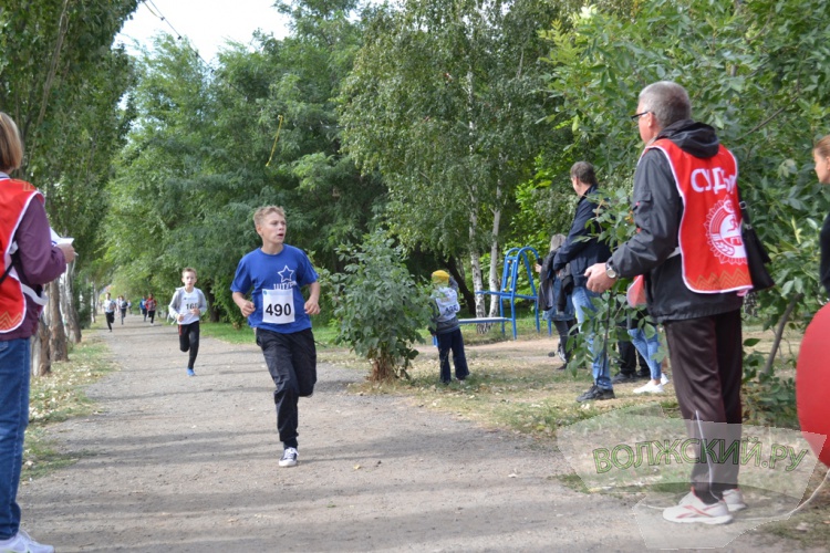 В Волжском традиционный «Кросс наций» получил новую прописку