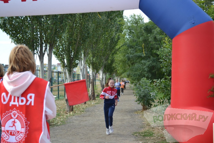 В Волжском традиционный «Кросс наций» получил новую прописку