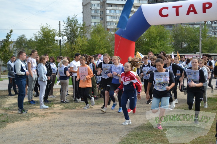 В Волжском традиционный «Кросс наций» получил новую прописку