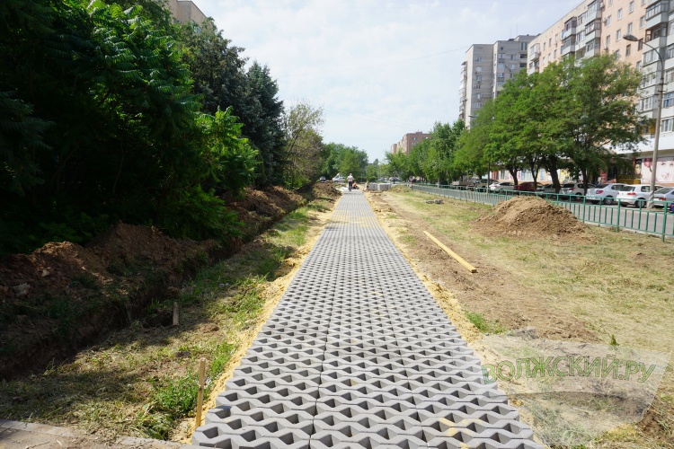 В Волжском вдоль 17 микрорайона создают экотропу и «умный» полив