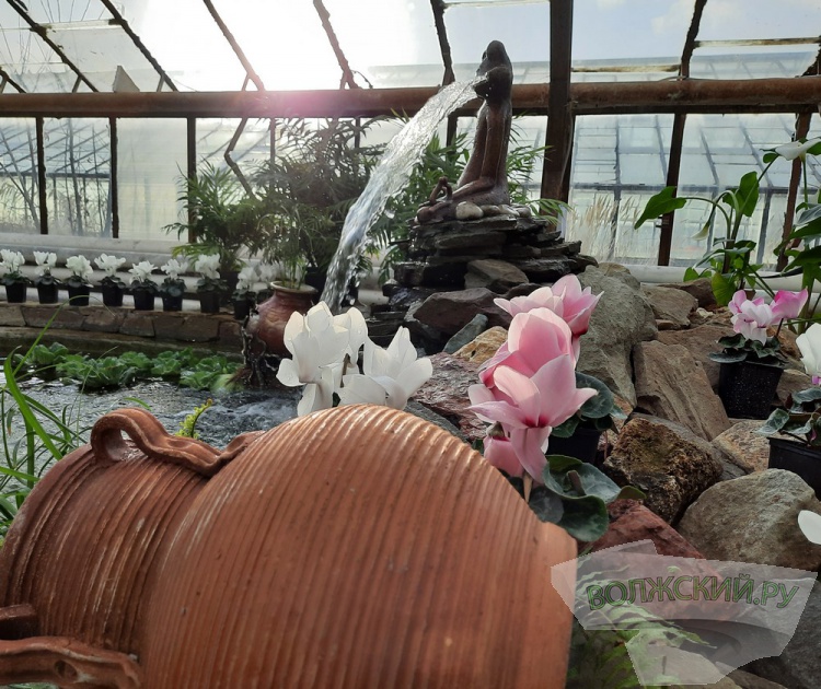 Весенний калейдоскоп цветов зажегся в оранжерее ботанического сада Волжского