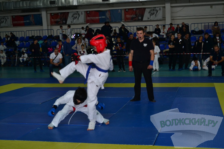 220 рукпопашников встретились в Волжском на турнире памяти С.В. Цуцунавы