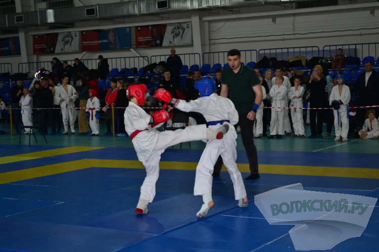 220 рукпопашников встретились в Волжском на турнире памяти С.В. Цуцунавы