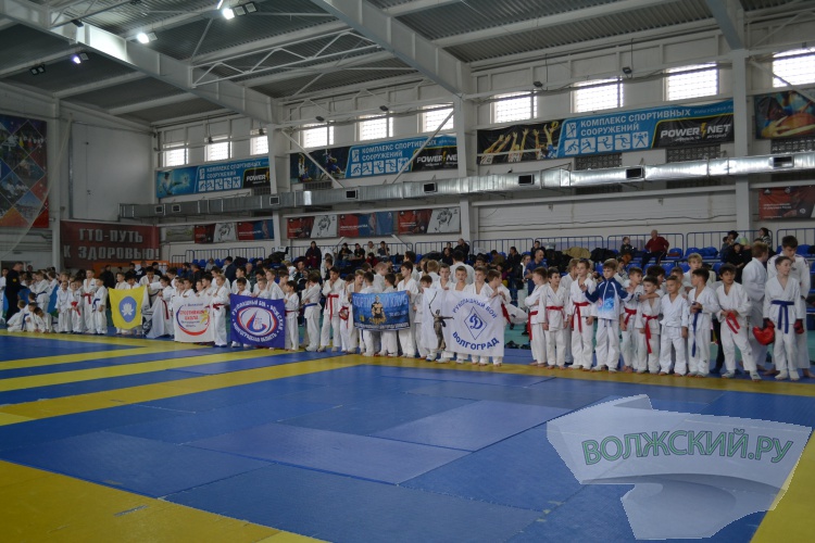 220 рукпопашников встретились в Волжском на турнире памяти С.В. Цуцунавы