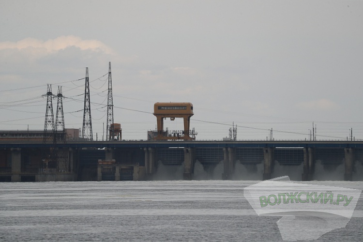 Глава Волгоградской области оценил обводнение Волго-Ахтубинской поймы