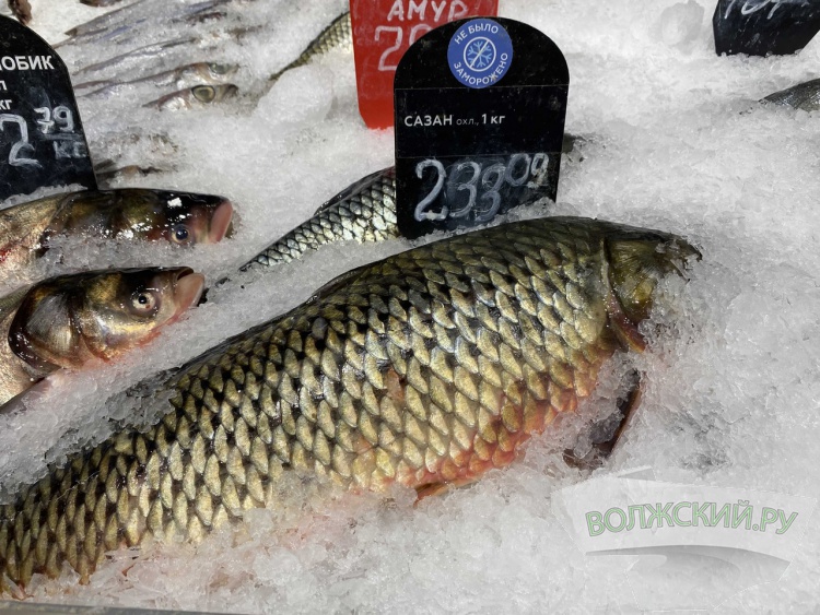 Инфляция по-волжски: цены всё сильнее бьют по семейному бюджету