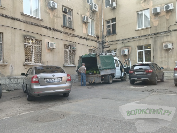 За арбузами – в мэрию!