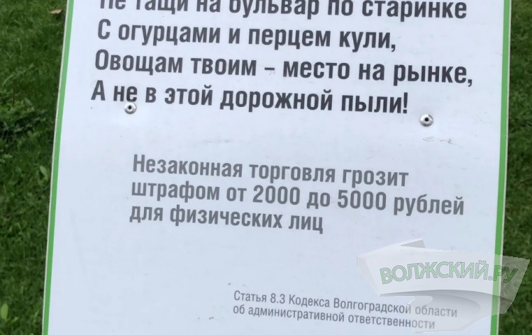 «Это слишком!»: в Волжском гоняли торговцев вдоль тысячника на проспекте им. Ленина