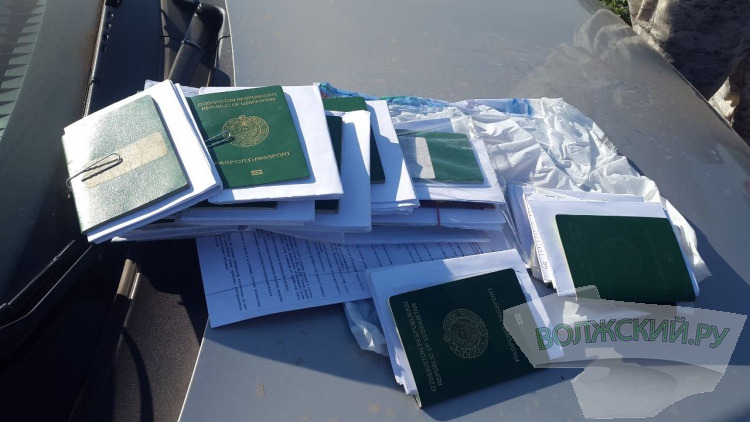 Выдворение и уголовные дела: в Волгоградской области массово ловили нелегалов