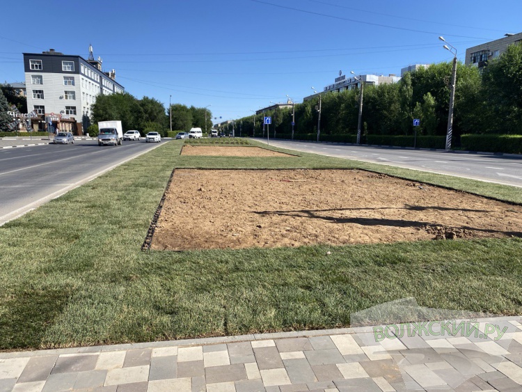 Арки и газон: продолжается обновление зелёных зон в центре Волжского
