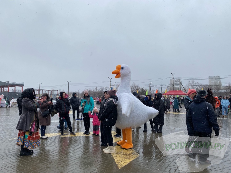 Хороводы, ароматный шашлык и сжигание чучела: в Волжском в снегопад попрощались с зимой