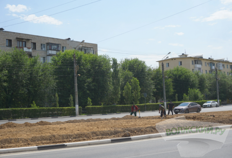 «Надеемся, что ко Дню города расцветут»: в Волжском обновляют клумбу напротив ЦУМа