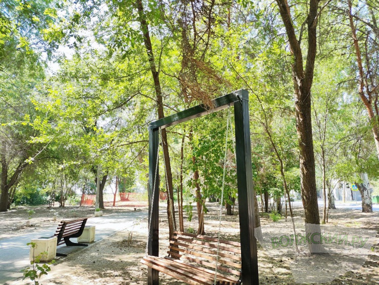 «Нанотехнологии» в действии: в Волжском деревья «держат» новые качели