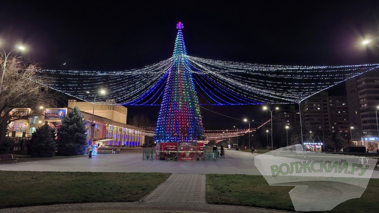 Главную городскую ёлку на площади им. В.И. Ленина окутало «звездное небо»