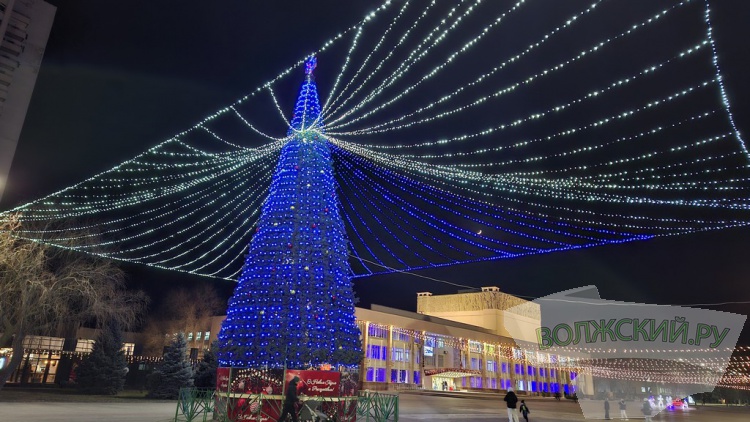 Главную городскую ёлку на площади им. В.И. Ленина окутало «звездное небо»
