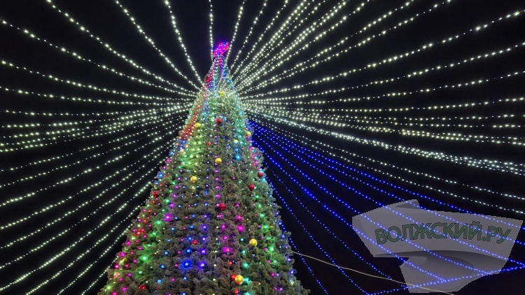 Главную городскую ёлку на площади им. В.И. Ленина окутало «звездное небо»