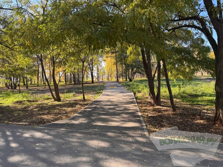 Недоступная спортплощадка и разрушенные бордюры: пустырь в парке «Волжский» преобразился за счет ФКГС