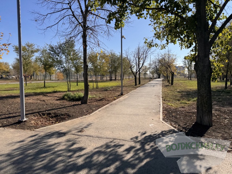 Недоступная спортплощадка и разрушенные бордюры: пустырь в парке «Волжский» преобразился за счет ФКГС