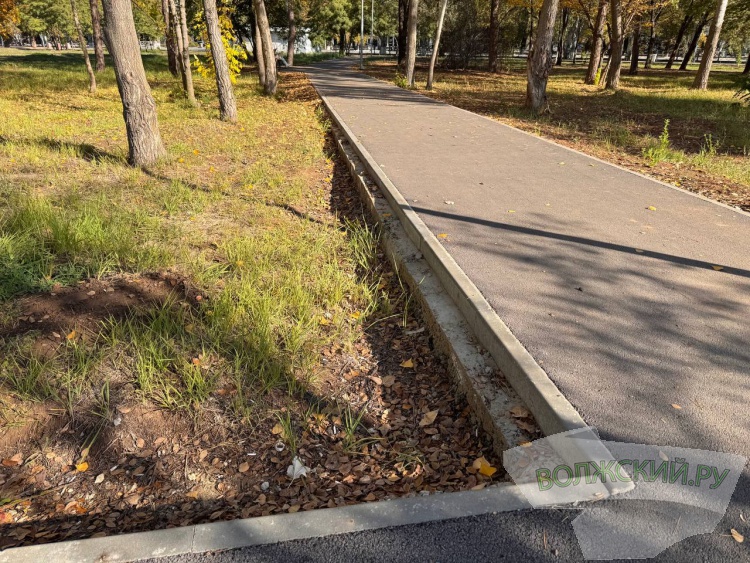 Недоступная спортплощадка и разрушенные бордюры: пустырь в парке «Волжский» преобразился за счет ФКГС