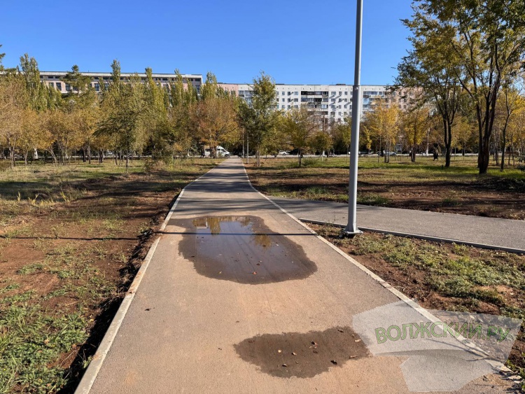 Недоступная спортплощадка и разрушенные бордюры: пустырь в парке «Волжский» преобразился за счет ФКГС