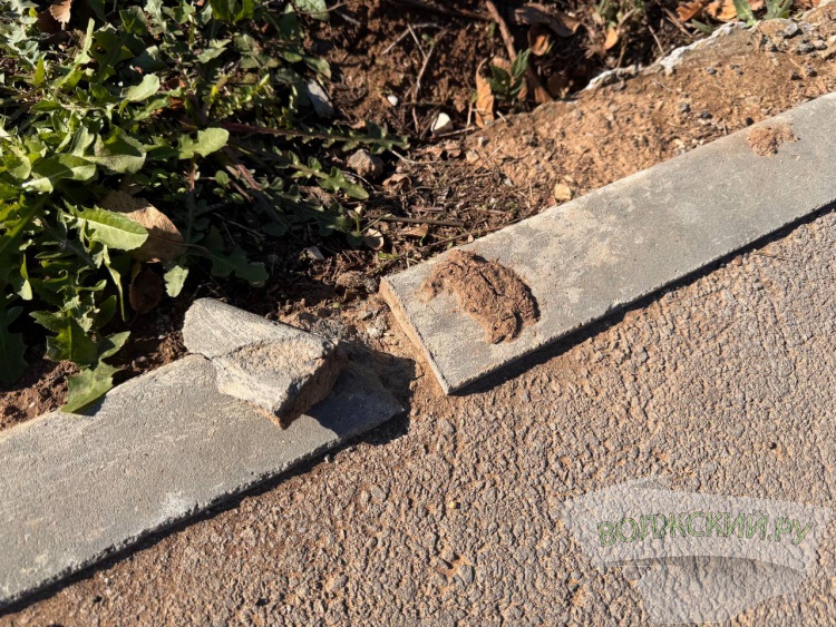 Недоступная спортплощадка и разрушенные бордюры: пустырь в парке «Волжский» преобразился за счет ФКГС