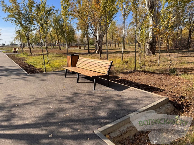 Недоступная спортплощадка и разрушенные бордюры: пустырь в парке «Волжский» преобразился за счет ФКГС