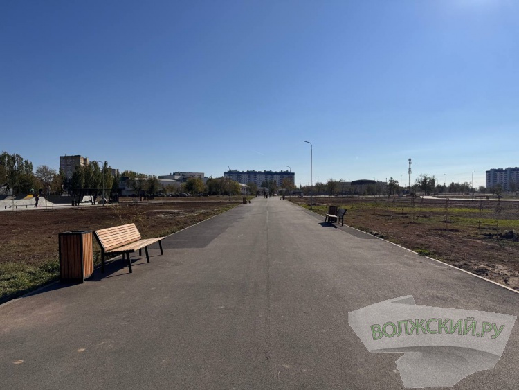 Недоступная спортплощадка и разрушенные бордюры: пустырь в парке «Волжский» преобразился за счет ФКГС