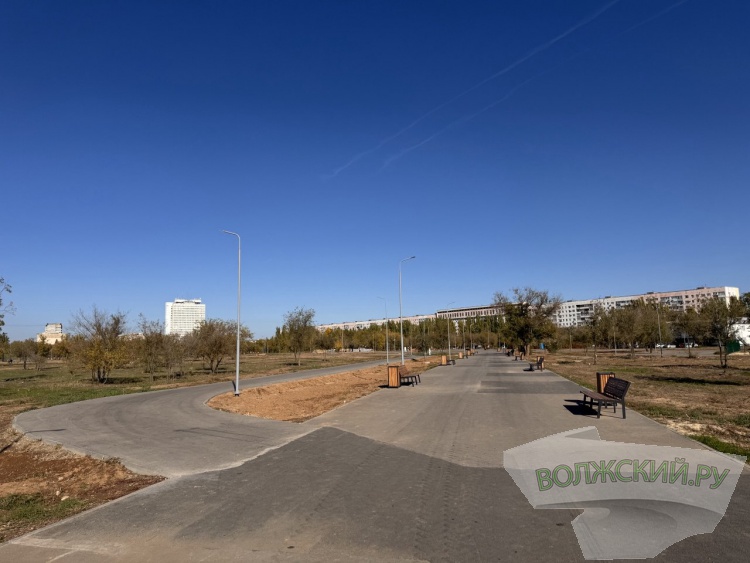 Недоступная спортплощадка и разрушенные бордюры: пустырь в парке «Волжский» преобразился за счет ФКГС