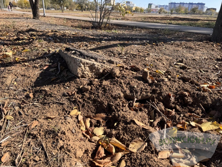 Недоступная спортплощадка и разрушенные бордюры: пустырь в парке «Волжский» преобразился за счет ФКГС