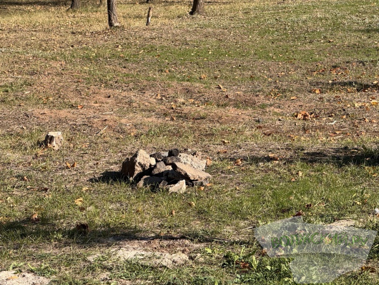 Недоступная спортплощадка и разрушенные бордюры: пустырь в парке «Волжский» преобразился за счет ФКГС