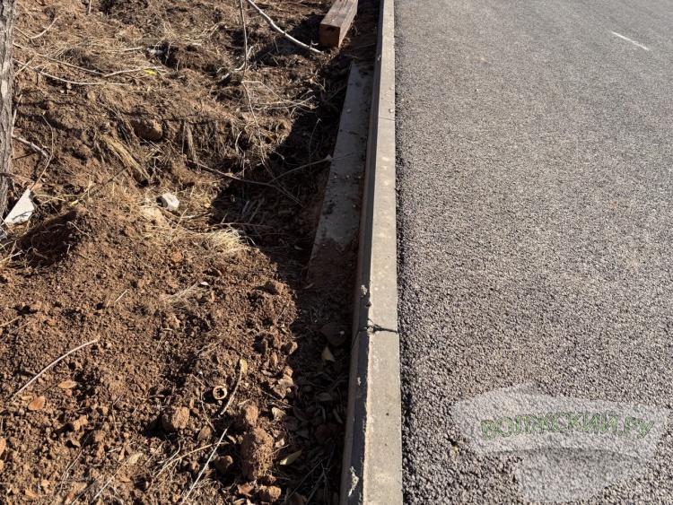 Недоступная спортплощадка и разрушенные бордюры: пустырь в парке «Волжский» преобразился за счет ФКГС