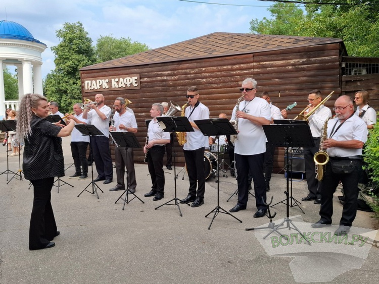 По числу первостроителей: в день рождения Волжского анонсировали высадку 17 тысяч вязов