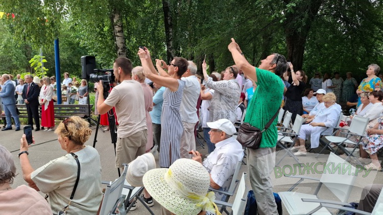 По числу первостроителей: в день рождения Волжского анонсировали высадку 17 тысяч вязов