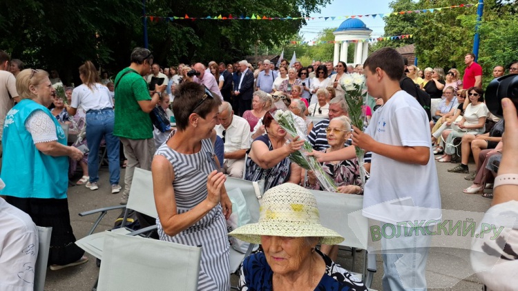 По числу первостроителей: в день рождения Волжского анонсировали высадку 17 тысяч вязов