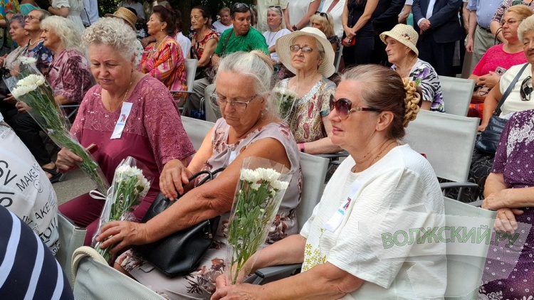 По числу первостроителей: в день рождения Волжского анонсировали высадку 17 тысяч вязов
