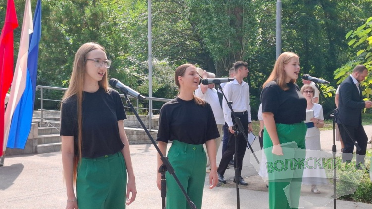 По числу первостроителей: в день рождения Волжского анонсировали высадку 17 тысяч вязов