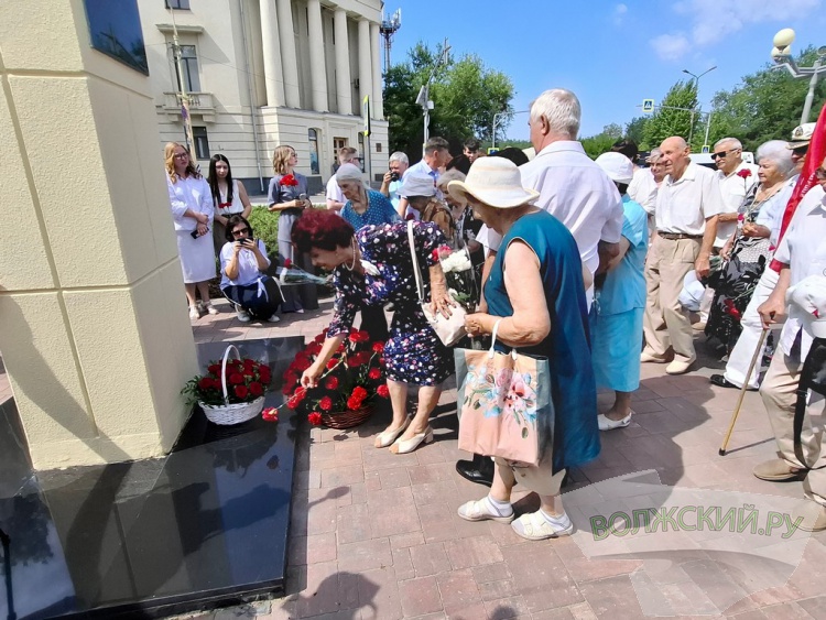 По числу первостроителей: в день рождения Волжского анонсировали высадку 17 тысяч вязов