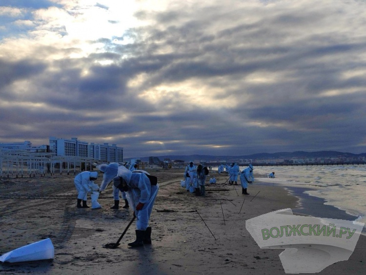 Студенты-экологи ВолГУ помогают расчищать побережье Анапы