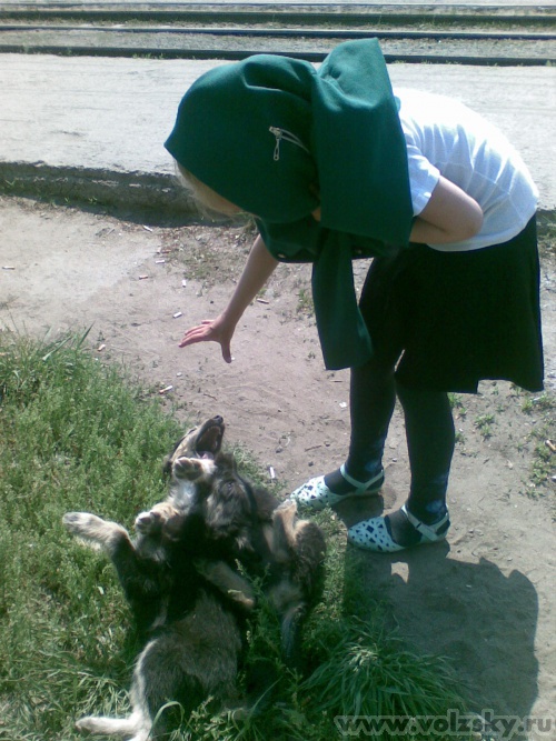 ������: ������� �������