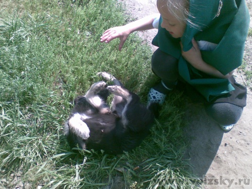 ������: ������� �������