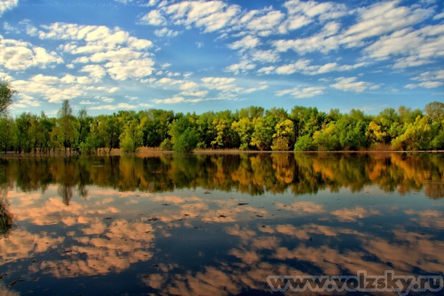 Konstantinovich: �������� ���������