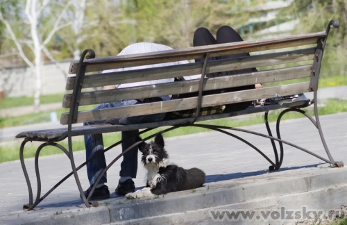 Konstantinovich: ���� � �����