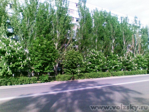 ������: ������� ������. ��. ����