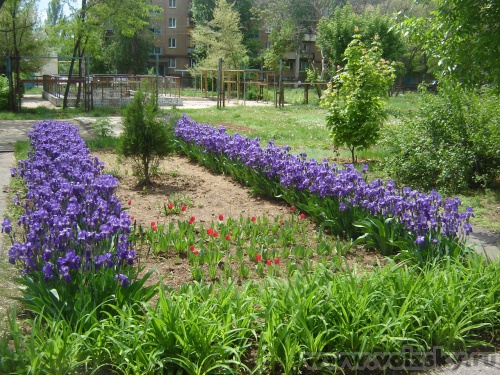 ��������: �� ���������� ������� ���� ������������.