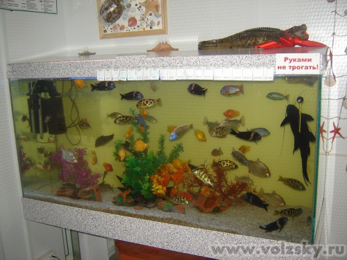 ��������: � ����������� "����" ��.���� 2.